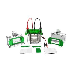 mini vertikálna elektroforézna komora